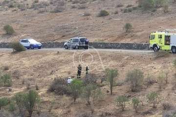 Los bomberos rescatan en el Valle de Jinámar a una perra y sus siete cachorros (Foto TA)